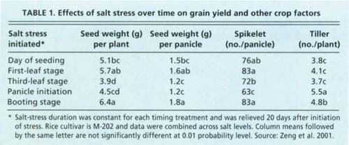 Effects of salt stress over time on grain yield and other crop factors