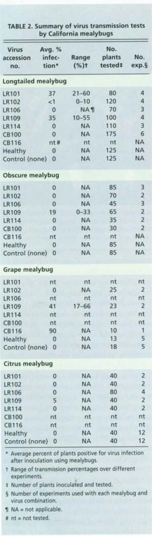 Summary of virus transmission tests by California mealybugs
