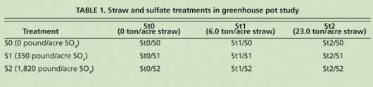 Straw and sulfate treatments in greenhouse pot study