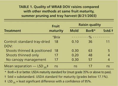 Quality of WRAB DOV raisins compared with other methods at same fruit maturity, summer pruning and tray harvest (8/21/2003)