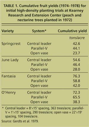 Cumulative fruit yields (1974–1978) for initial high-density planting trials at Kearney Research and Extension Center (peach and nectarine trees planted in 1972)