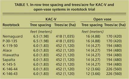 In-row tree spacing and trees/acre for KAC-V and open-vase systems in rootstock trial