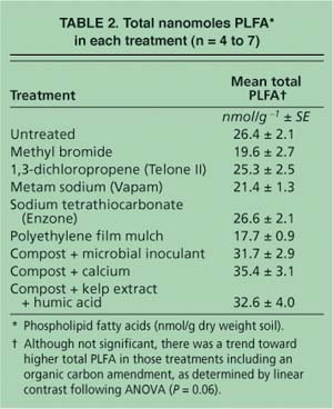 Total nanomoles PLFA* in each treatment (n = 4 to 7)
