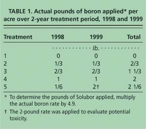 Actual pounds of boron applied* per acre over 2-year treatment period, 1998 and 1999