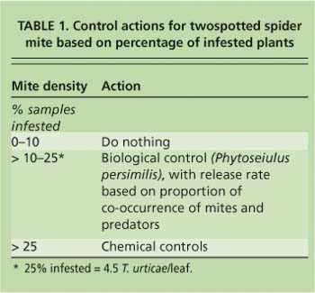 Control actions for twospotted spider mite based on percentage of infested plants
