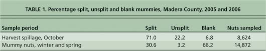 Percentage split, unsplit and blank mummies, Madera County, 2005 and 2006
