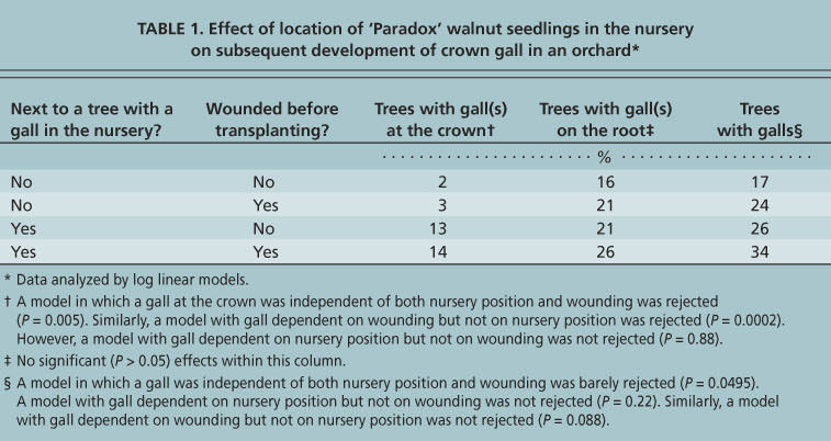 Effect of location of ‘Paradox’ walnut seedlings in the nursery on subsequent development of crown gall in an orchard** Data analyzed by log linear models.