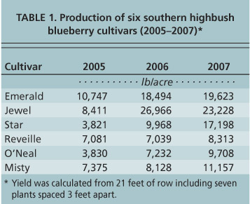 Production of six southern highbush blueberry cultivars (2005-2007)*