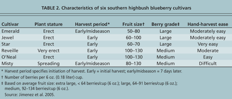 Characteristics of six southern highbush blueberry cultivars