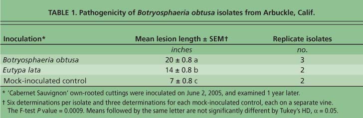 Pathogenicity of Botryosphaeria obtusa isolates from Arbuckle, Calif.