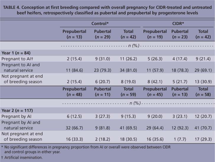 Conception at first breeding compared with overall pregnancy for CIDR-treated and untreated beef heifers, retrospectively classified as pubertal and prepubertal by progesterone levels