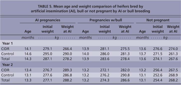 Mean age and weight comparison of heifers bred by artificial insemination (AI), bull or not pregnant by AI or bull breeding