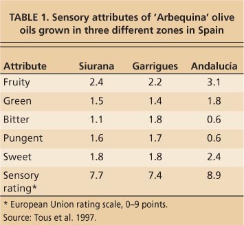 Sensory attributes of ‘Arbequina’ olive oils grown in three different zones in Spain