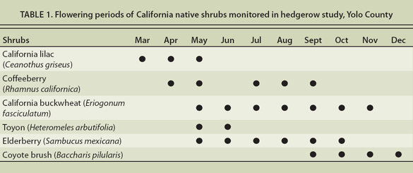 Flowering periods of California native shrubs monitored in hedgerow study, Yolo County