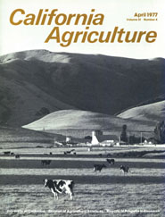 California Agriculture, Vol. 31, No.4