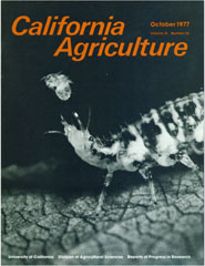 California Agriculture, Vol. 31, No.10