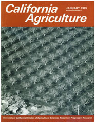 California Agriculture, Vol. 33, No.1