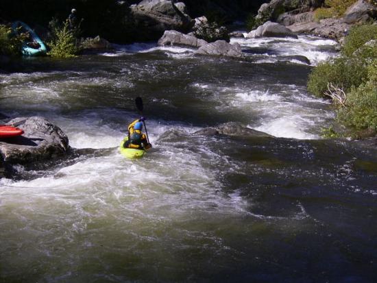 Kayaker runs a drop on Silver Creek, CA during pulsed flow on Sept. 15, 2004 (same vantage as photo above). Photo by Lisa Thompson.