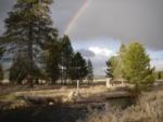 Pine Creek rainbow in upper watershed, 2007.