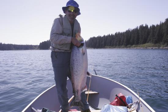 Chinook salmon. Location: Alaska. Photo courtesy of Steve Tjosvold, UC Cooperative Extension.