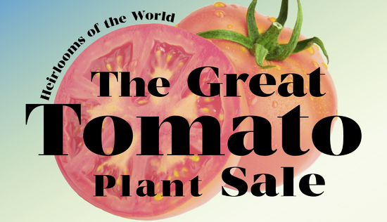 Great Tomato Plant Sale Graphic