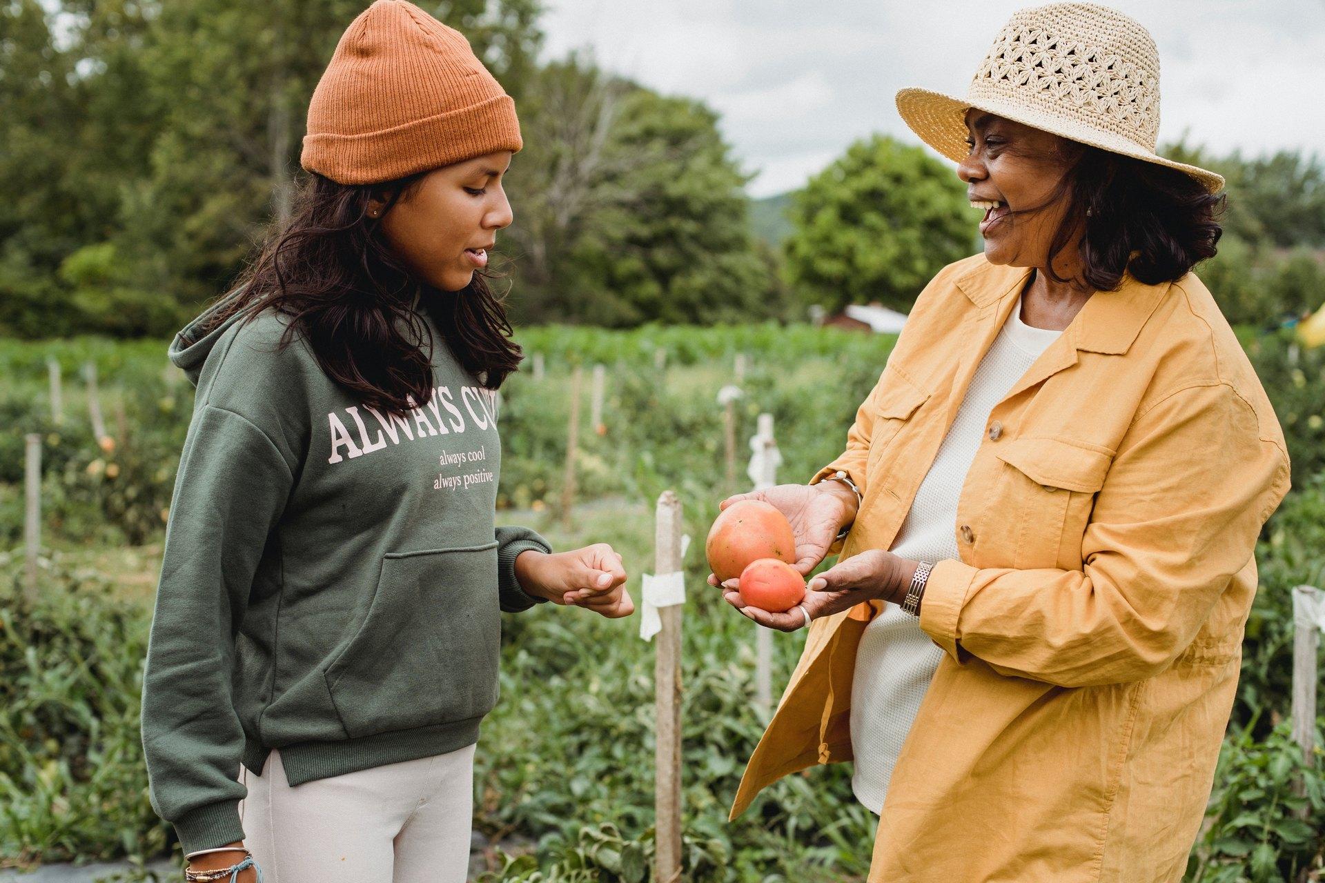 Mother and daughter share joy of growing tomatoes