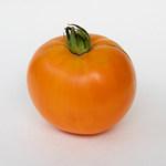Tomato_Beefsteak_Chef's Choice Orange_MGFT-150