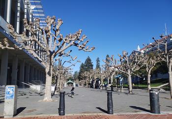 UC Berkeley Campus South Entrance. By Hedwig Van den Broeck.