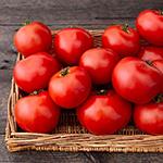 Tomato_Slicer_Tasti Lee F1_High Mowing Organic Seeds (1)_sm96