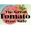 The Annual Great Tomato Plant Sale