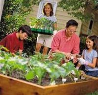 Growing produce helps avoid food insecurity and is Fun. Courtesy CCHealth.