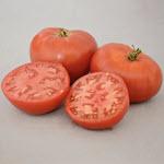 Tomato_Slicer_Carmello_Territorial Seed Company-150