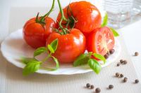 Healthy Tomatoes_UCANR