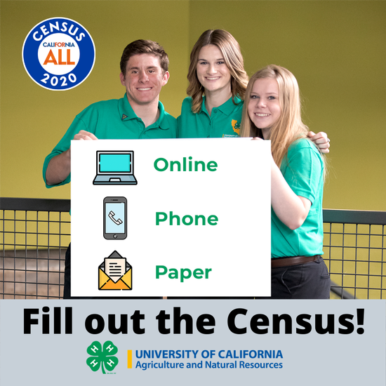 Fill out the Census online, by phone, or with the paper form.