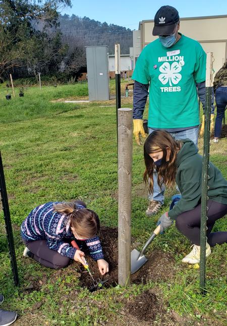 4-H'ers Inspect the tree planting hole