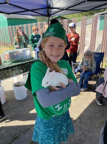 4-Her shows off a bunny at Animal Field Day