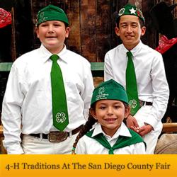 4-H-San-Diego-County-Fair-sm-banner
