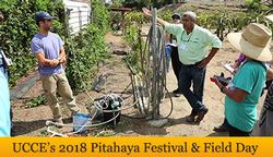 Pitahaya-festival-banner