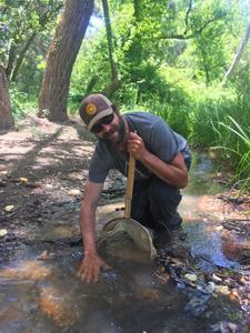 Guillermo de Mendoza, postdoctoral researcher in the Ruhi Lab, collecting aquatic invertebrates in Chalone Creek. Photo by Mike Bogan.