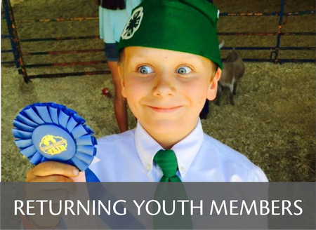 Button that links to Returning 4-H Youth Members Enrollment Steps
