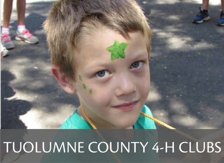 Link to Tuolumne County 4-H Community Club Information