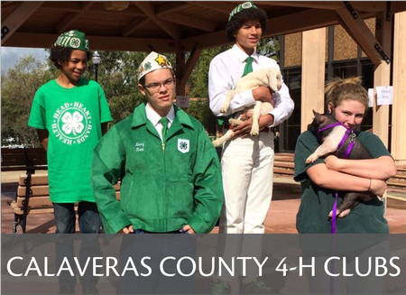 Button that links to Calaveras County 4-H Community Club Information