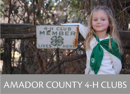 Button that links to Amador County 4-H Community Club Information