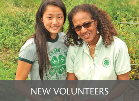 Button that links to New 4-H Adult Volunteer Enrollment Steps