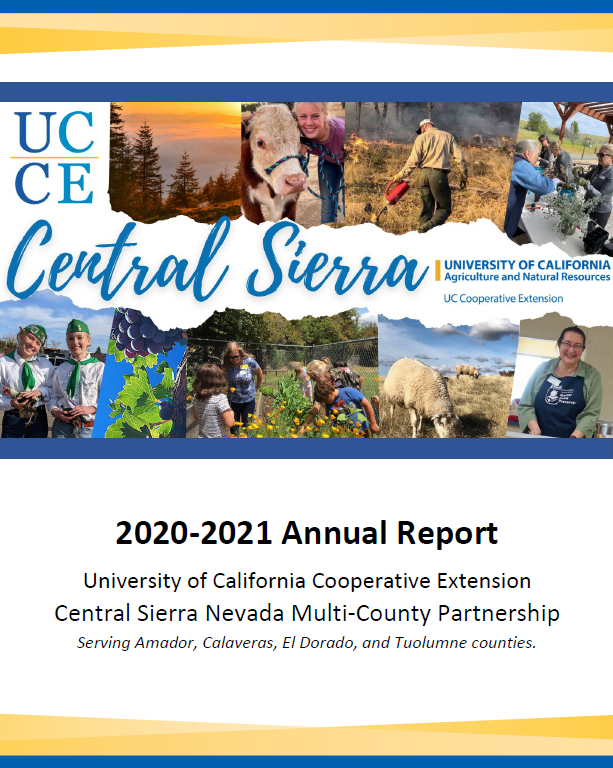 Click to view the 2020-21 Annual Report