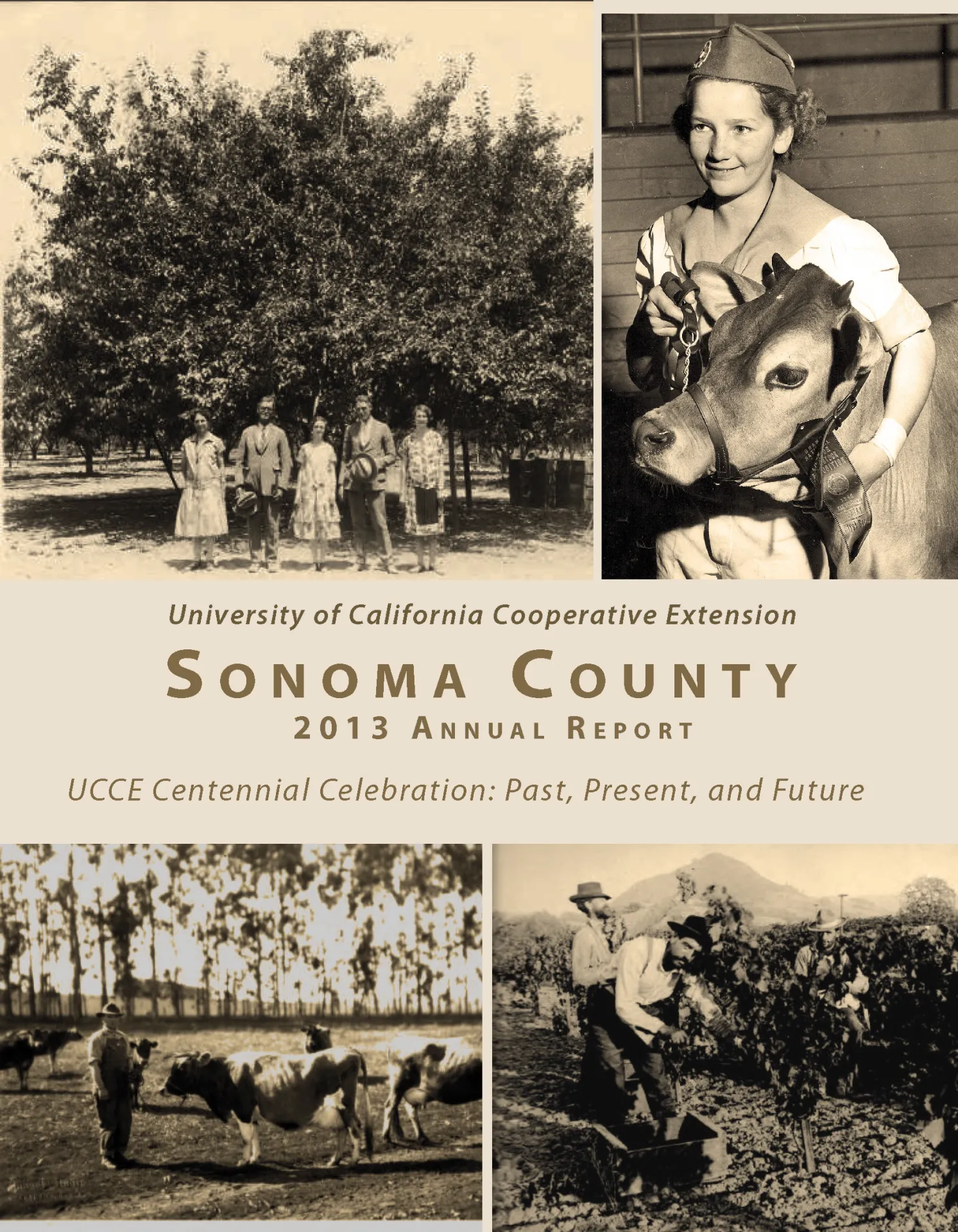 Sonoma 2013 cover