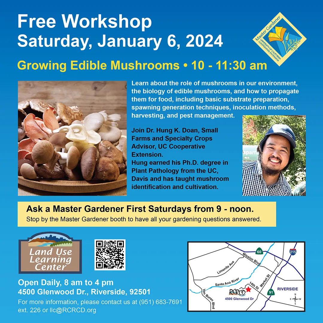 Growing Edible Mushrooms