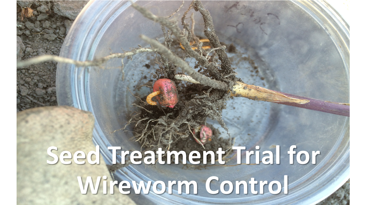 Seed Treatment Trial
