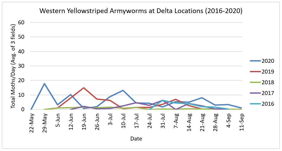 Figure 2. 2016-2020 Delta Western Yellowstriped Armyworm Trap Counts.