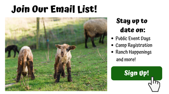 Stay up to date on news and events happening at UC Elkus Ranch